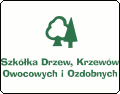 Szkółka drzew, krzewów owocowych i ozdobnych. Szczepek