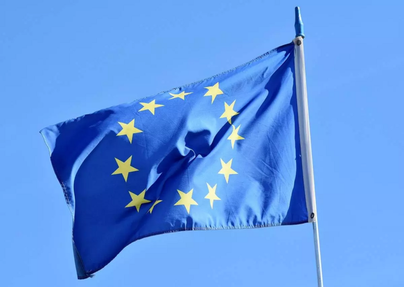 Jak mieszkańcy Łazisk Górnych głosowali w wyborach do Europarlamentu 2024?