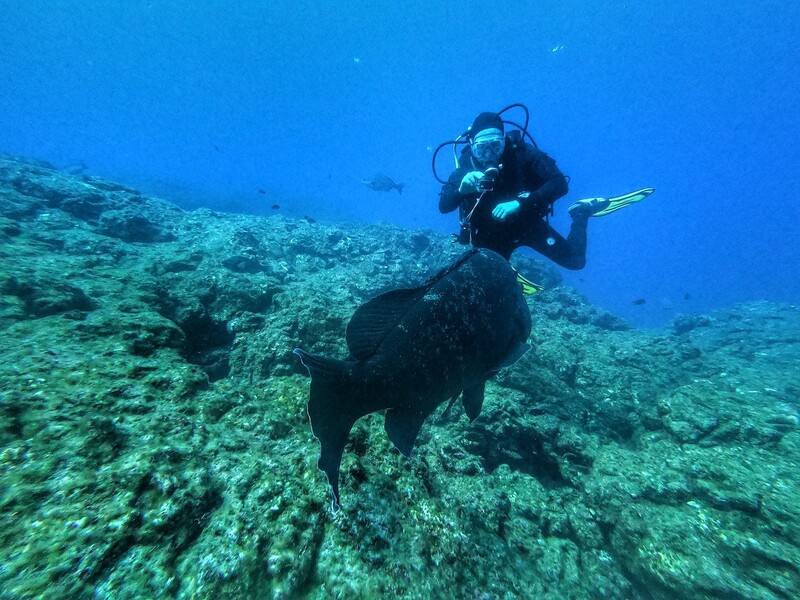 Jakie elementy powinien zawierać zestaw do snorkelingu?