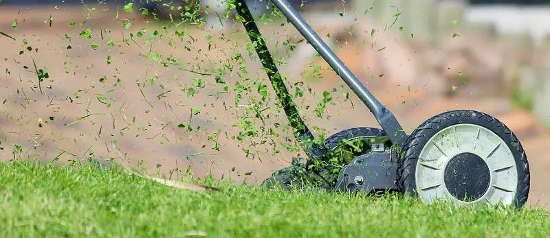 Usługi sprzątające – pozwól innym zadbać o Twój ogród